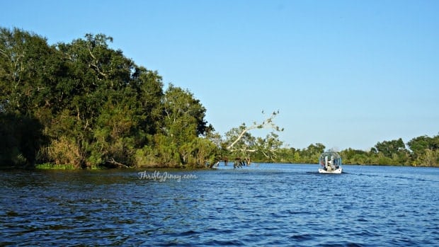 Louisiana Swamp Tours Airboat Tour