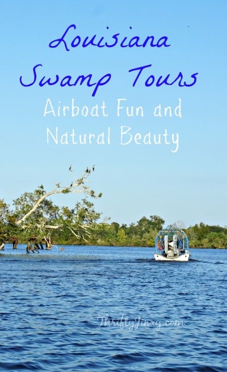 Louisiana Swamp Tours - Airboat Fun and Natural Beauty