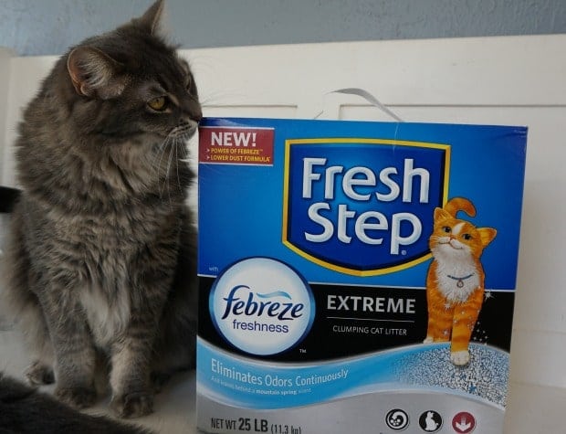 Fresh Step Febreze Extreme