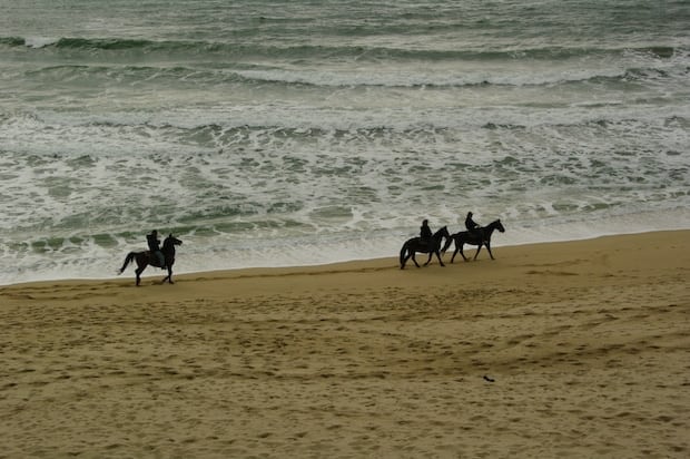 Horseback Riding