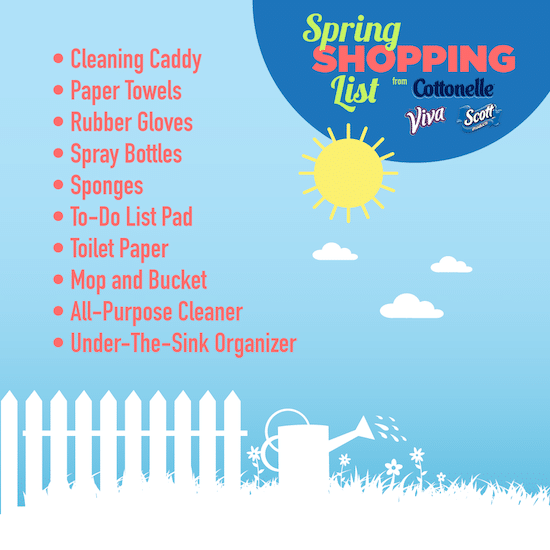 Spring Cleaning Tips Shopping List