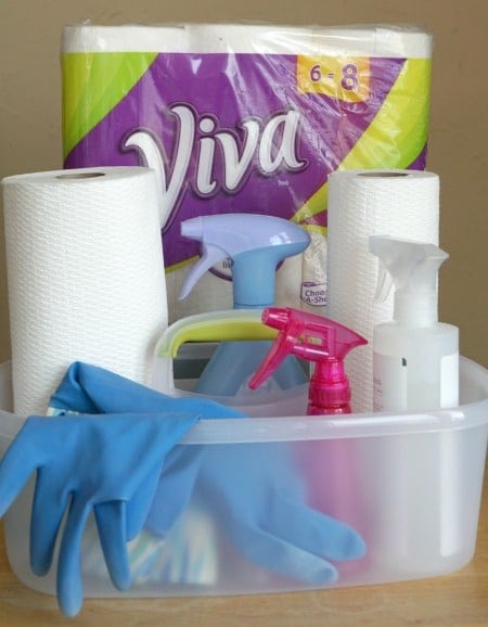 Spring Cleaning Viva Towels