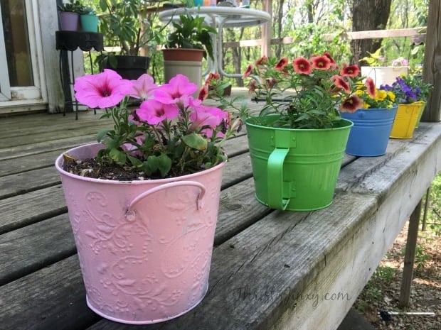 Upcycled Painted Plant Pots