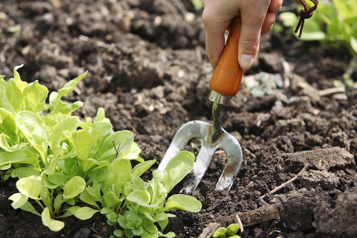 Cricut Planter Project: All Are Welcome in the Garden - Thrifty Jinxy