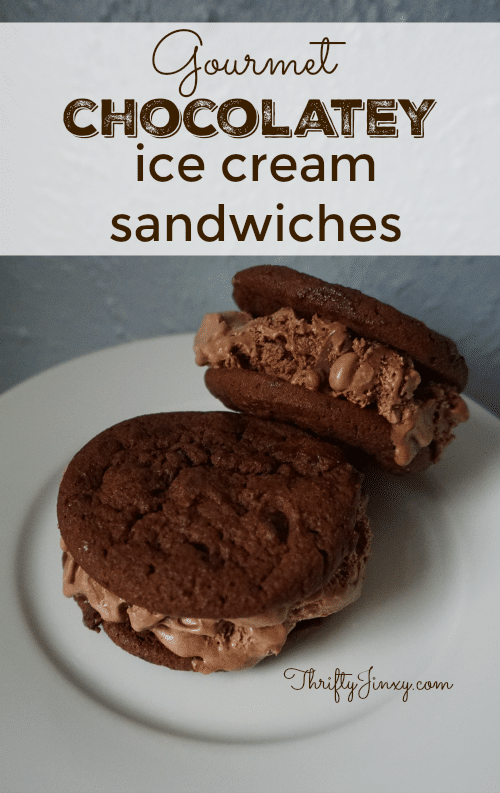 Gourmet Chocolatey Ice Cream Sandwiches Recipe