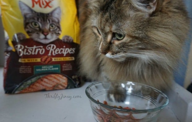 Lucky Meow Mix Bistro Recipes