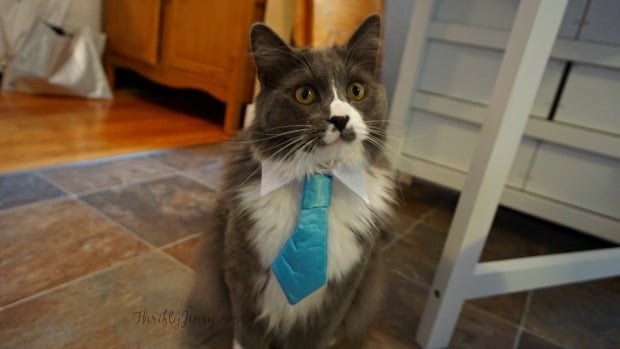 Sammy Tie