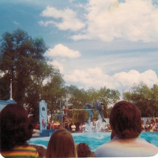 Valleyfair Dolphins