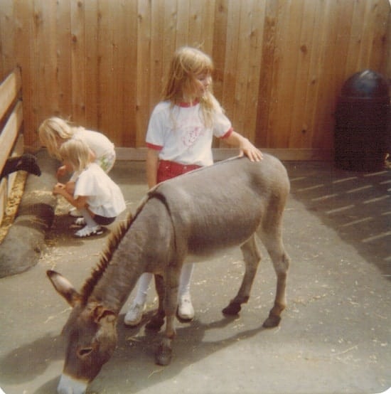 Valleyfair Donkey