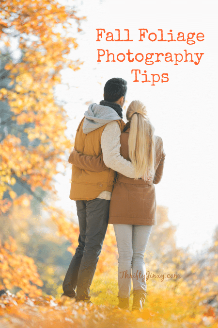 fall-foliage-photography-tips