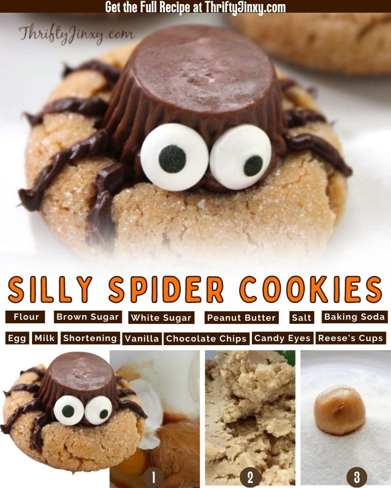 Silly Spider Cookies