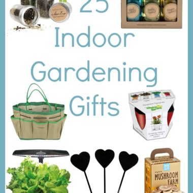 Older Adults Gift Ideas - 12 Great Solutions! - Thrifty Jinxy