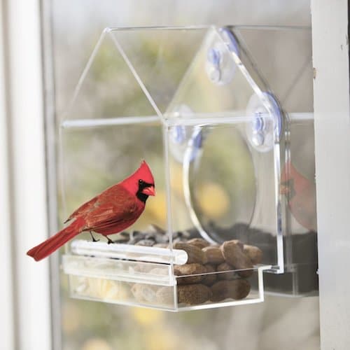 nature-anywhere-window-birdfeeder