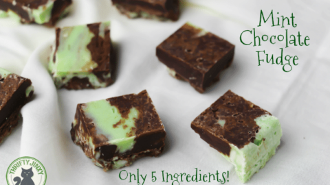 Easy 5 Ingredient Mint Chocolate Fudge Recipe
