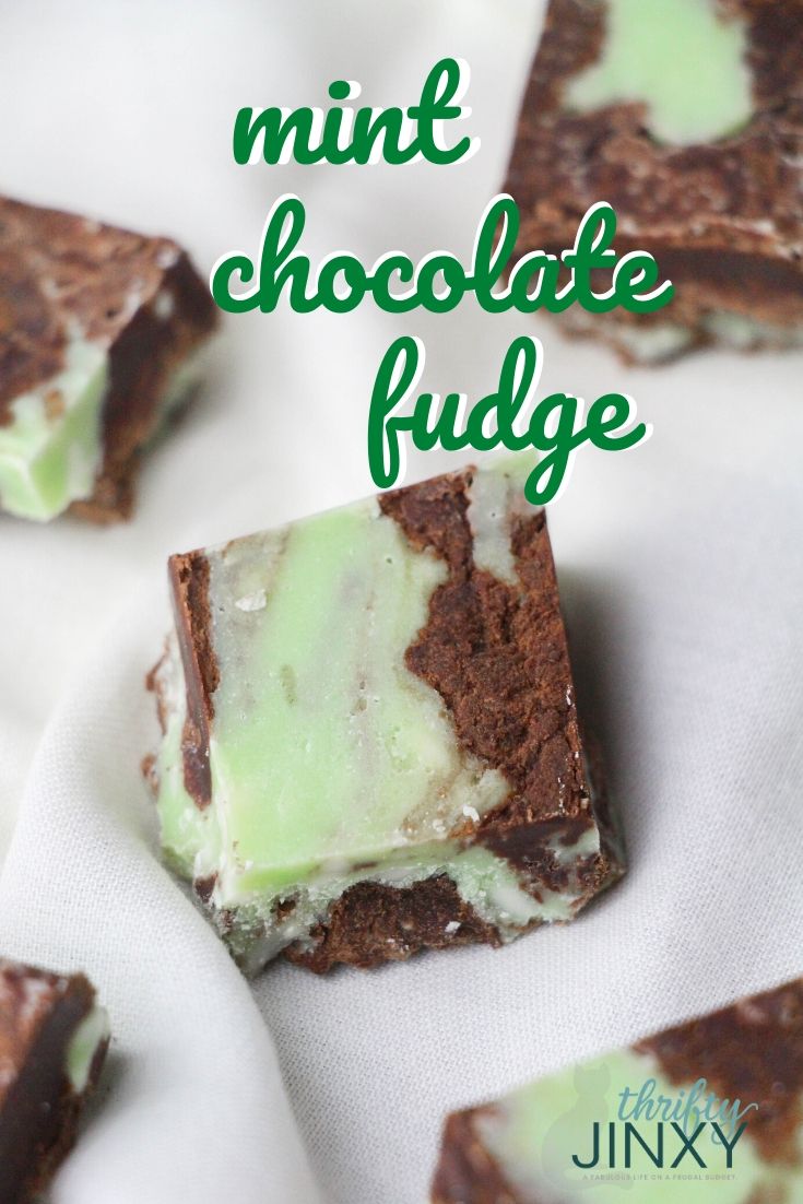 Easy 5 Ingredient Mint Chocolate Fudge Recipe - Thrifty Jinxy