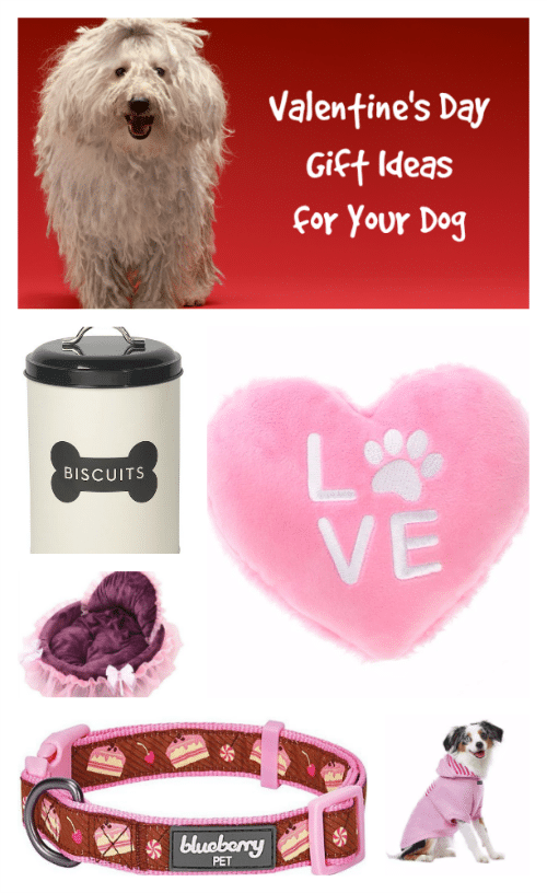 Valentine's Day Gift Ideas for Your Dog