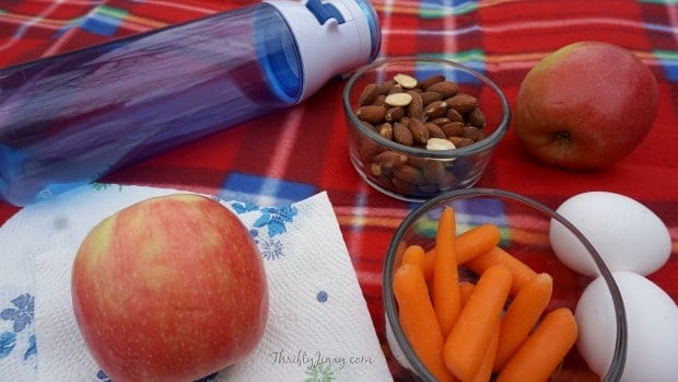 4 Tips for the Perfect Picnic! - Thrifty Jinxy