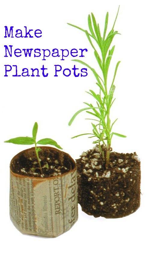 Make Newspaper Plant Pots - Make Newspaper Plant Pots from discarded newspapers to start your garden seedlings. You'll save money using this earth-friendly option.