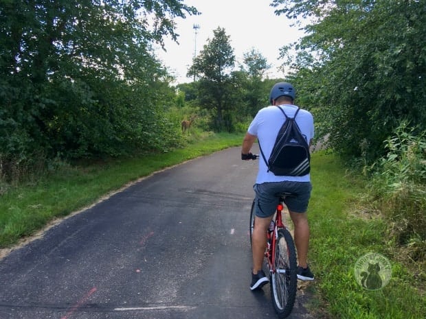 Man on bicycle for SlimFast Challenge