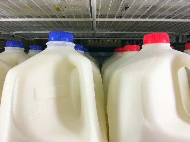 gallons of milk on shelf