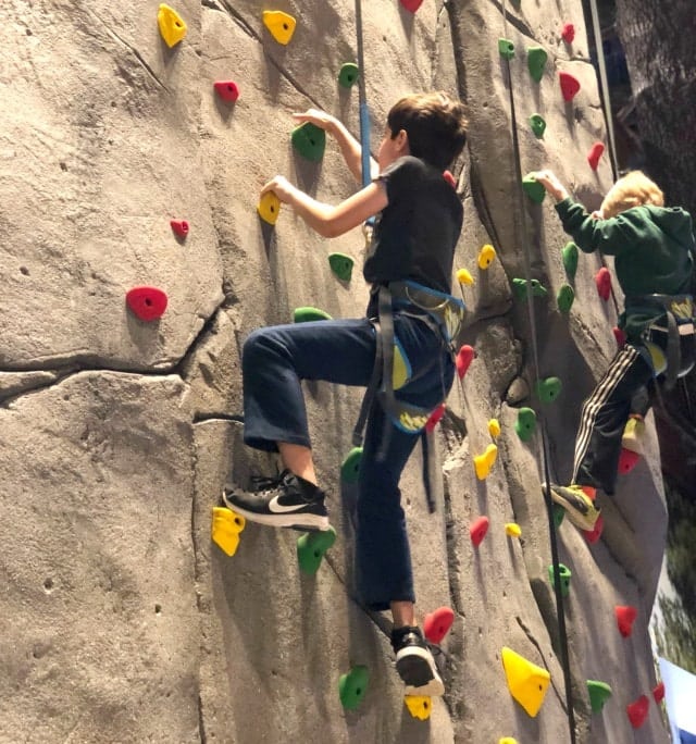 Great Wolf Climbing Wall