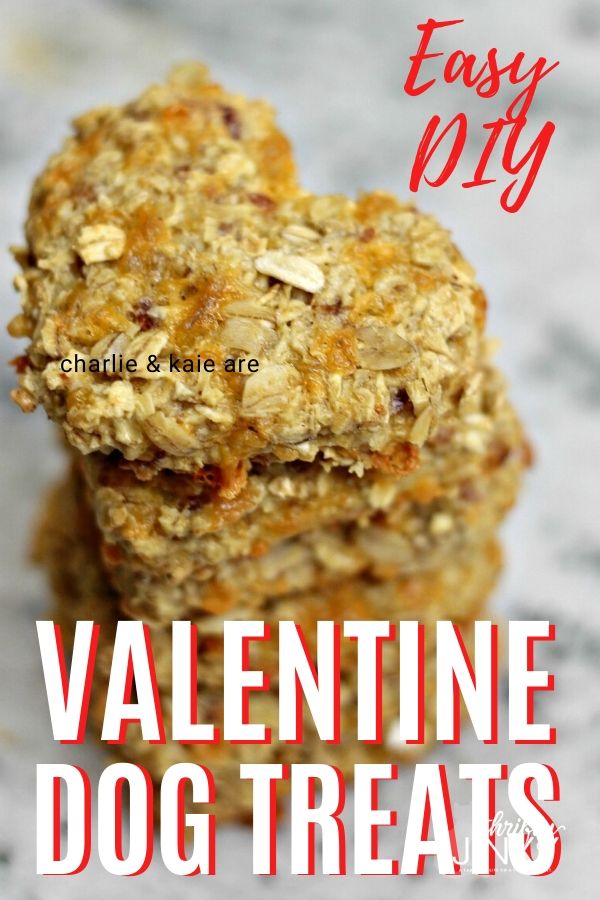 Homemade Dog Treats Recipe Perfect for Valentine's Day + Doggy Gift