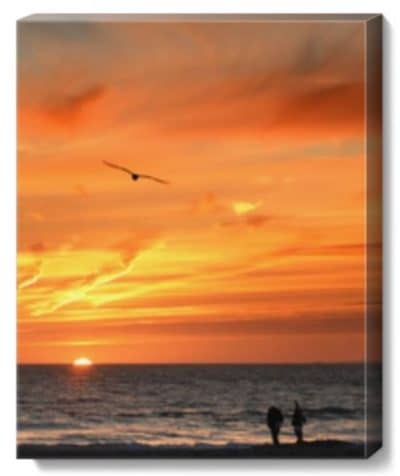 16x20 Canvas Print for $19.99 + FREE Store Pickup at Walgreens! - Thrifty  Jinxy