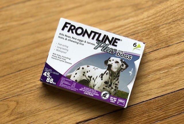 Protecting Our Dog with FRONTLINE® Plus 