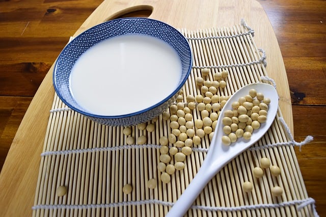 soy foods and soy milk