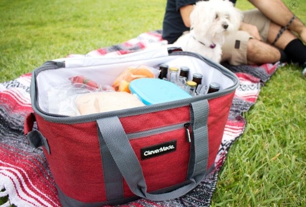 CleverMade SnapBasket Cooler