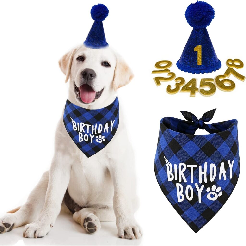 Dog Birthday Bandana and Hat