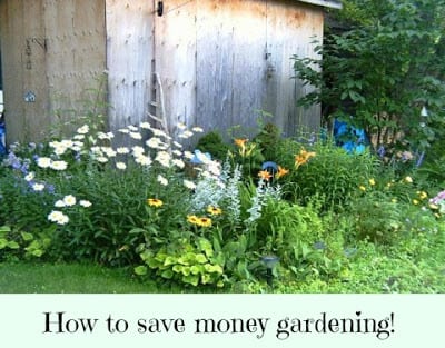 Frugal Gardening Tips