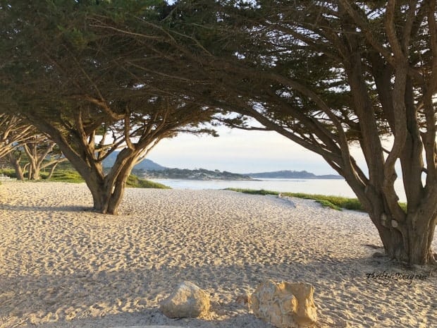 Carmel Beach Carmel-by-the-Sea