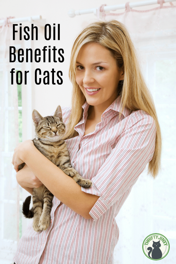 Fish Oil Benefits for Cats
