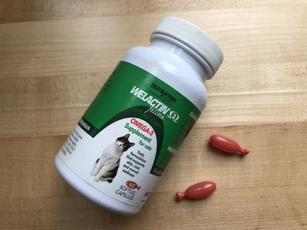 Best fish oil supplement for cheap cats