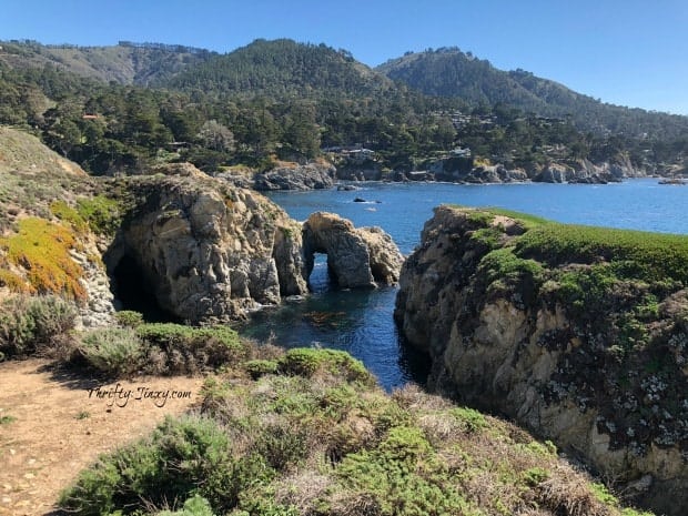 Point Lobos State Natural Reserve