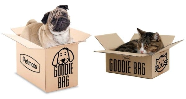 dog goodie boxes