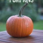 How to Make Your Pumpkin Last Until Halloween