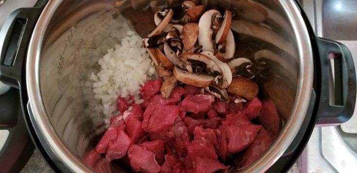 Instant Pot Asian Beef Noodle Soup - A Bowl Full of Flavor - Thrifty Jinxy