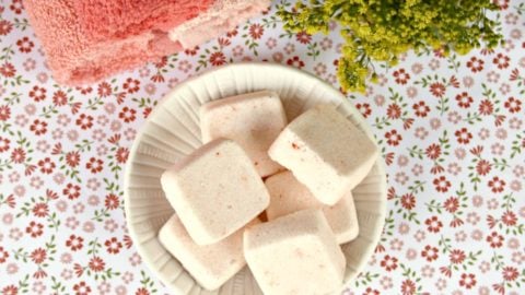 Homemade Essential Oils Dishwasher Tabs 2