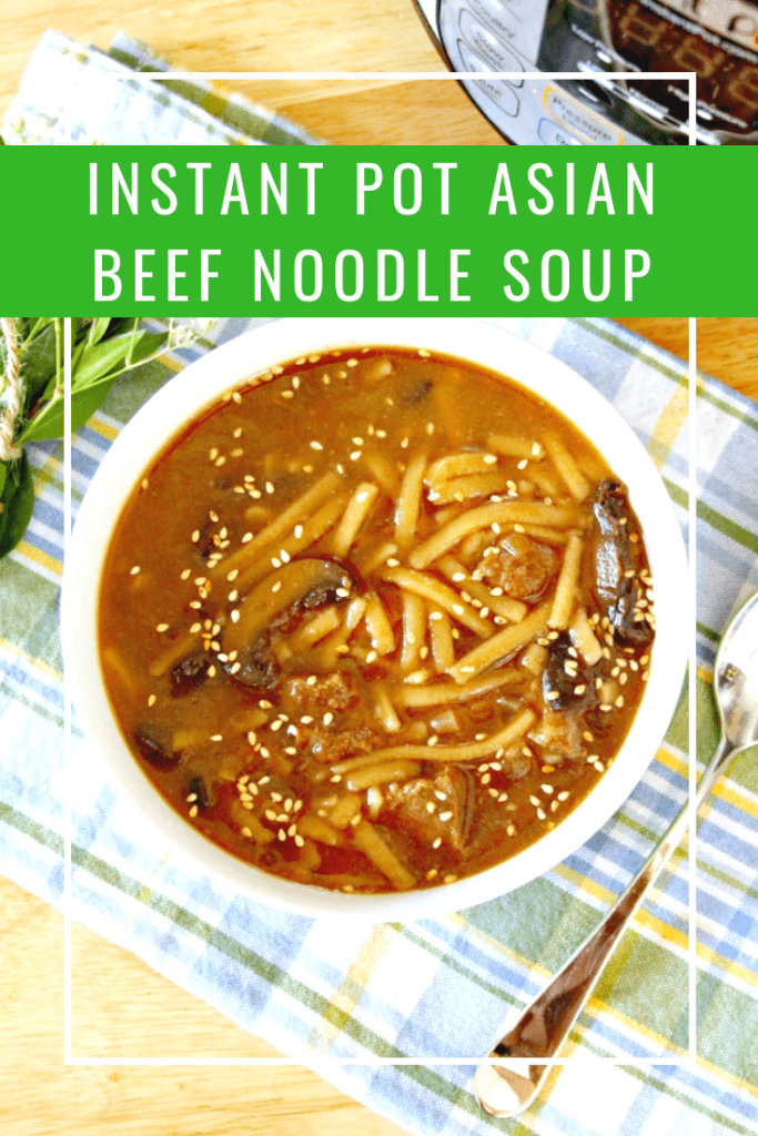 Instant Pot Asian Beef Noodle Soup - A Bowl Full of Flavor - Thrifty Jinxy