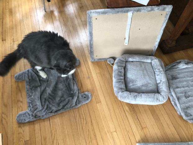 Cat Tree Assembly