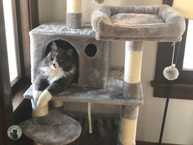 Cat Tree Hideaway