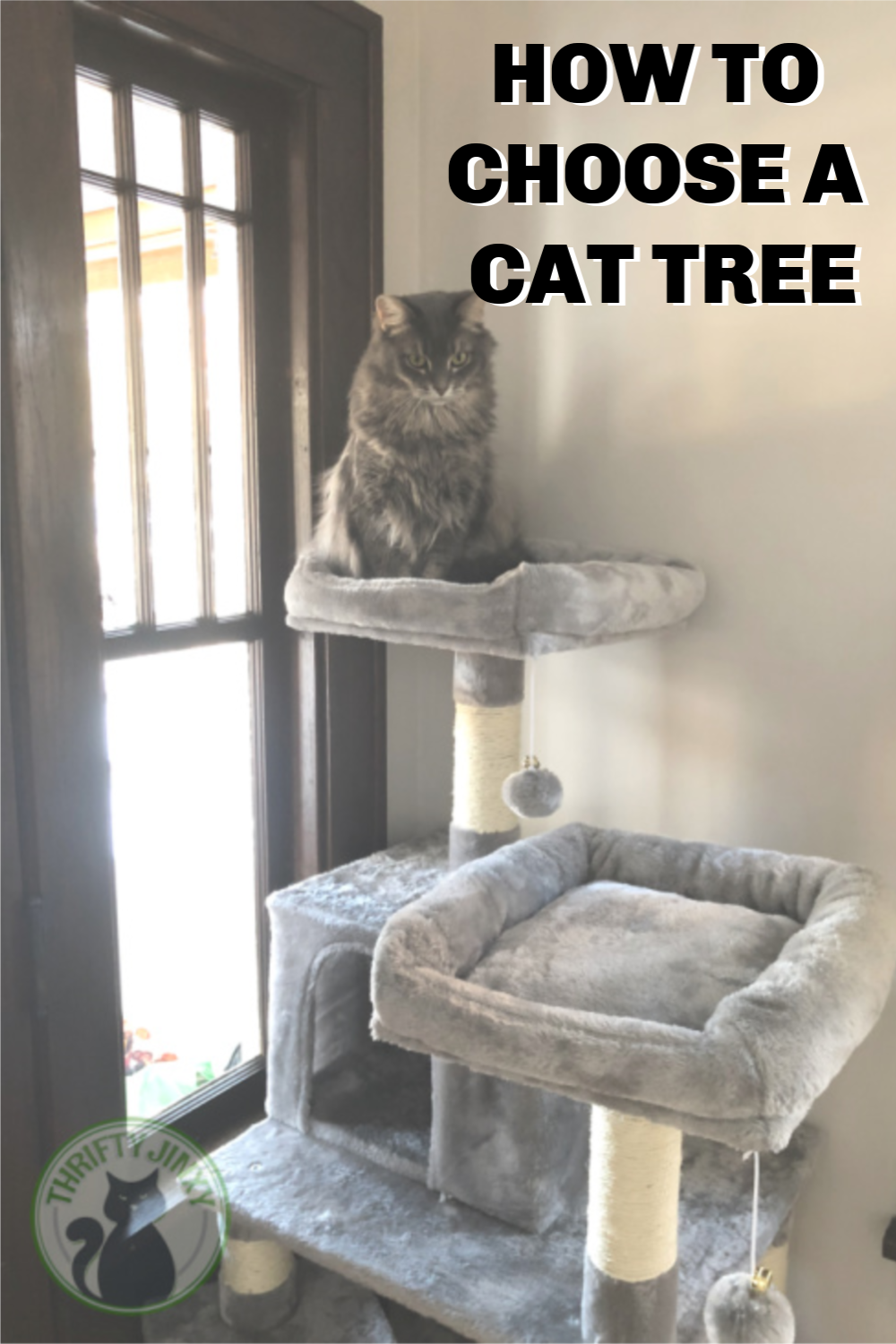 How to Choose a Cat Tree Thrifty Jinxy