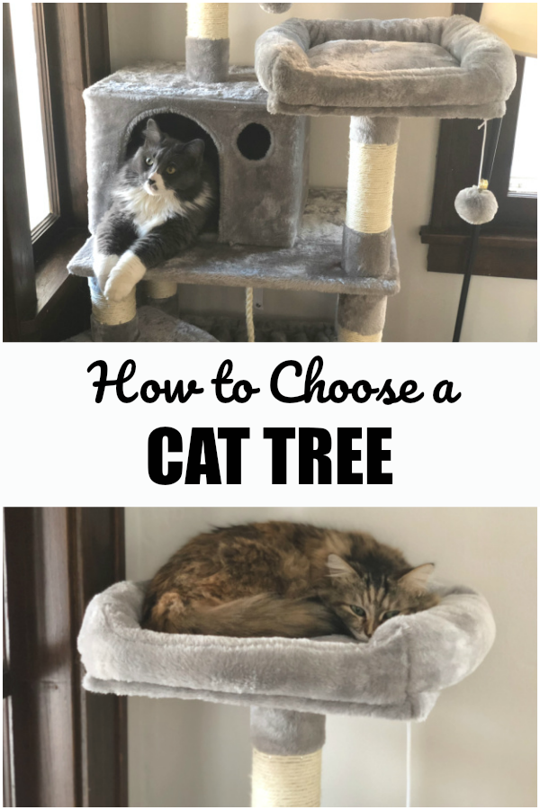 How to Choose a Cat Tree