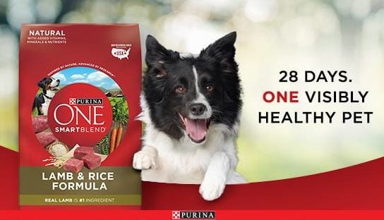 Purina $5 off sales coupon