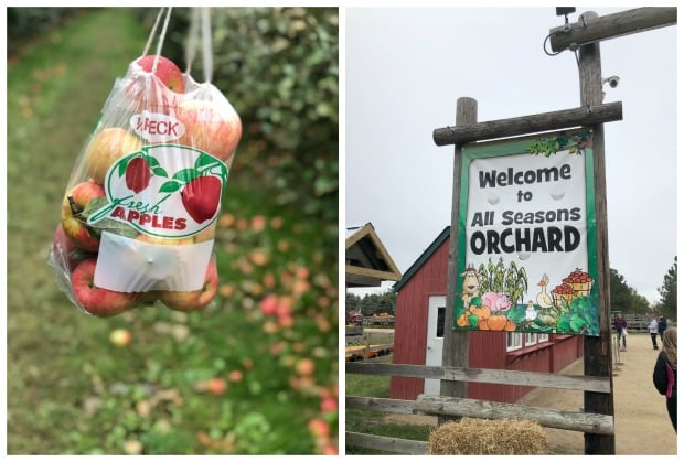 Woodstock IL All Seasons Orchard