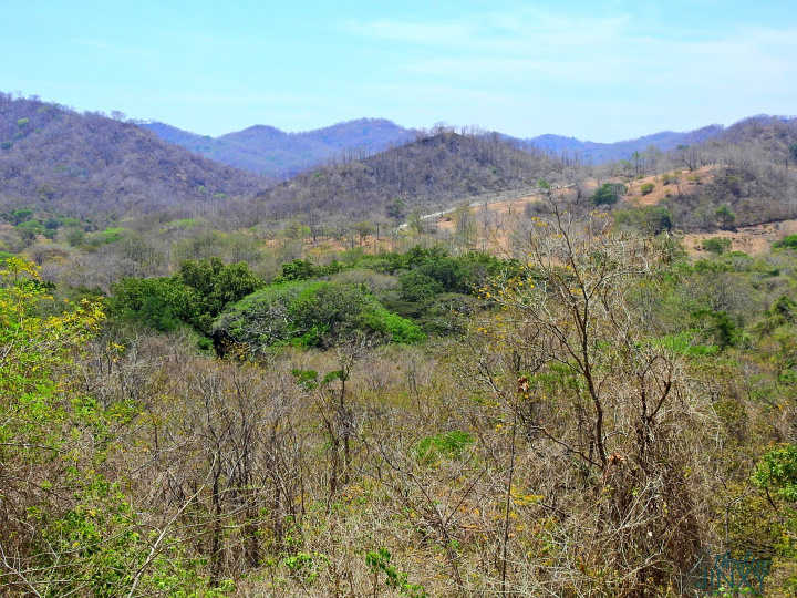 Guanacaste Costa Rica