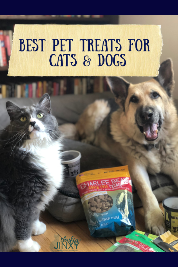 Best Pet Treats for Cats and Dogs