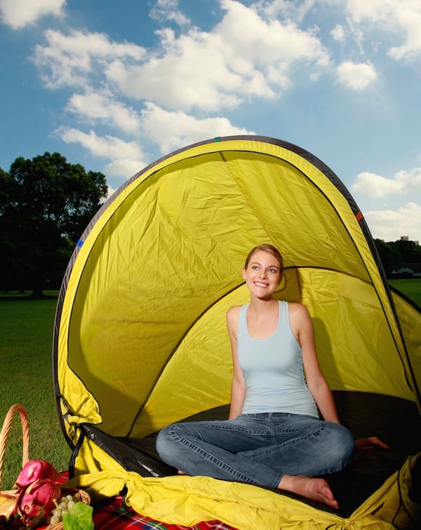 Portable Picnic Shelter